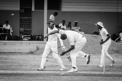 Cricket Study VIiI