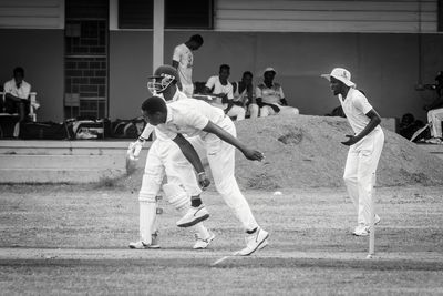 Cricket Study IX