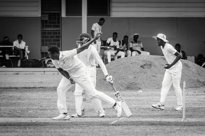 Cricket Study X