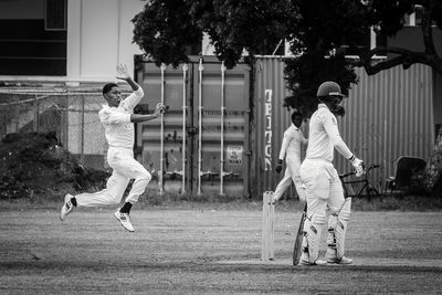Cricket Study XI