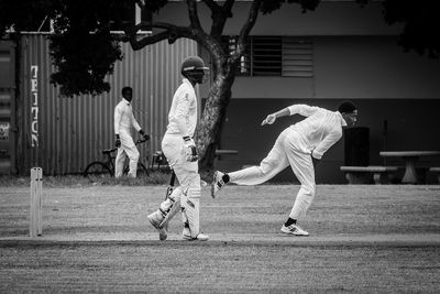 Cricket Study XV