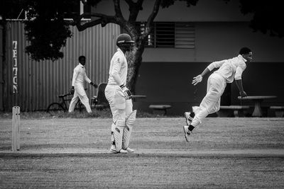 Cricket Study XVI