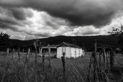 _DSC9909-Enhanced-NR.jpg