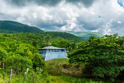_DSC9917-Enhanced-NR.jpg