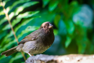 _DSC0990-Enhanced-NR.jpg