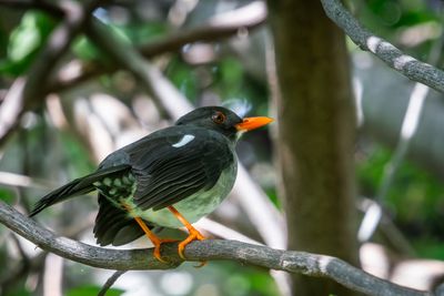 _DSC1076-Enhanced-NR.jpg