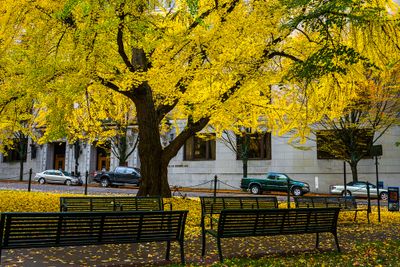 _DSC9563.jpg