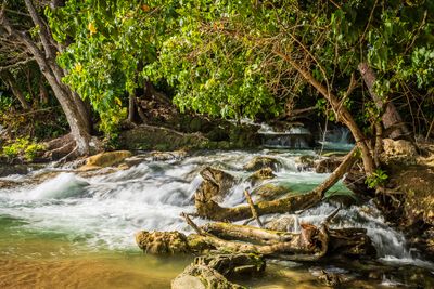 Laughing Water Falls II