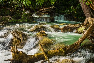 Laughing Water Falls V