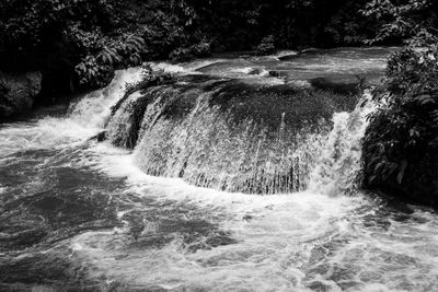 _DSC0930.jpg