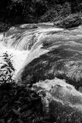 _DSC0934.jpg