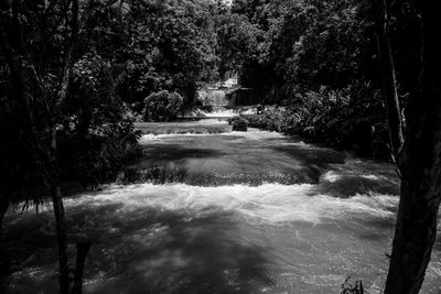 _DSC0939.jpg
