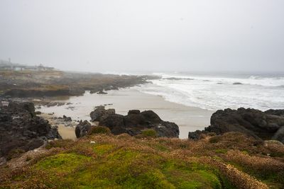 _7RV9135.jpg