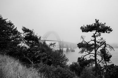 _7RV9226.jpg