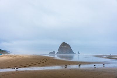 _7RV9311.jpg