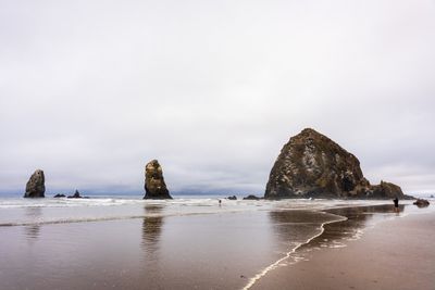 _7RV9390.jpg