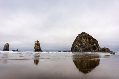 _7RV9394.jpg