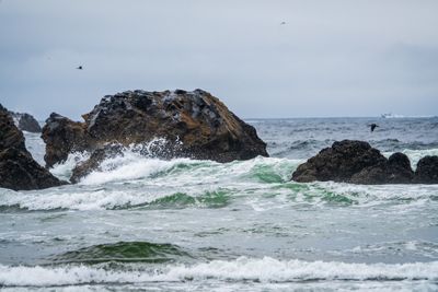 _7RV9450.jpg