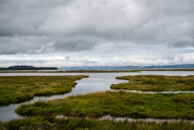 Twilight Eagle Sanctuary