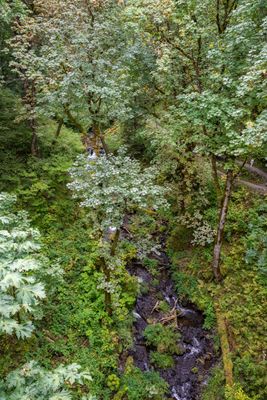 Latourell Creek