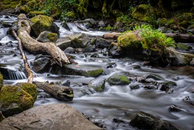 Bridal Veil River