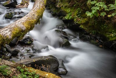 Bridal Veil River