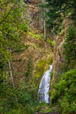 Wahkeena Falls II