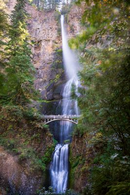 Multnomah Falls III