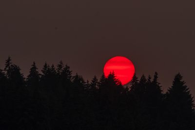 _7RV9909.jpg