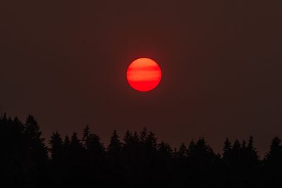 _7RV9907.jpg