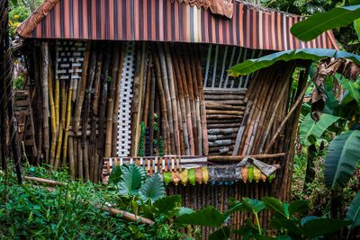 Bamboo and Plastic