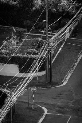 Sunlight on Power Lines