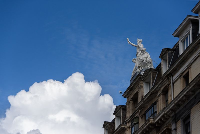 DSC_8060.jpg