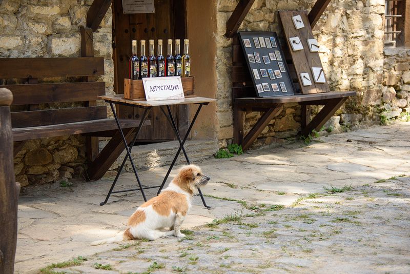 Kovachevitsa
