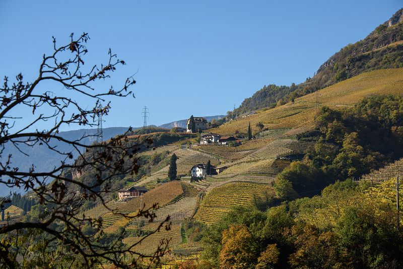 Castel Roncolo