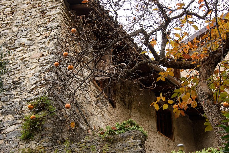 Campo di Brenzone