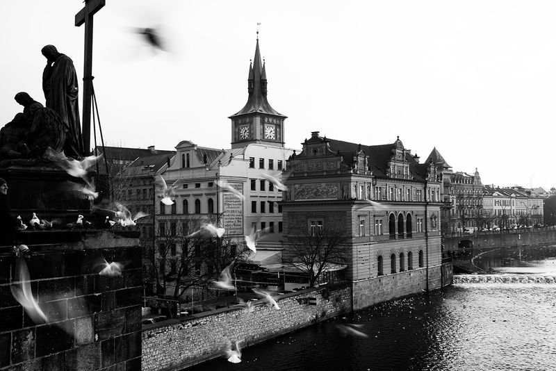 DSC_0661.jpg