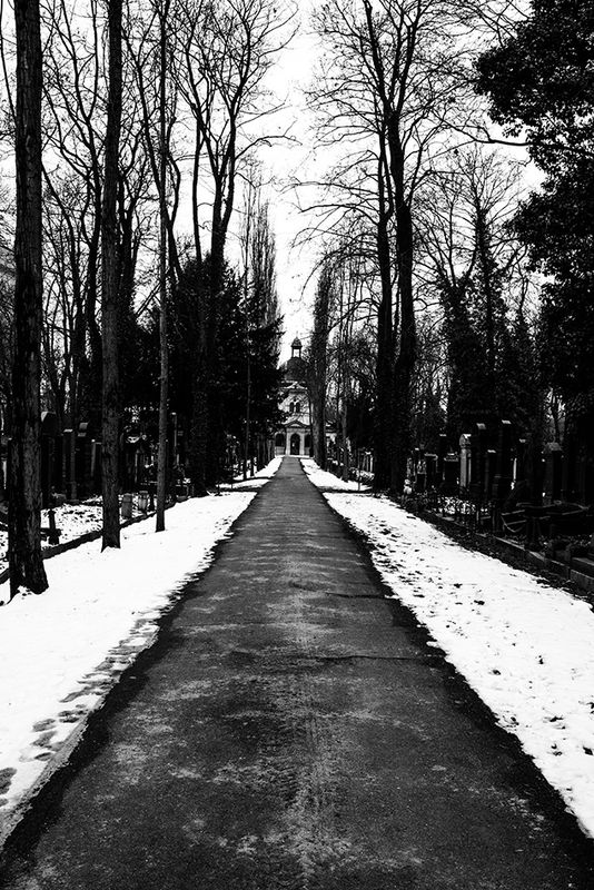 DSC_0686.jpg