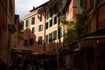 DSC_6471.jpg
