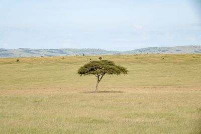 KEN00907.jpg
