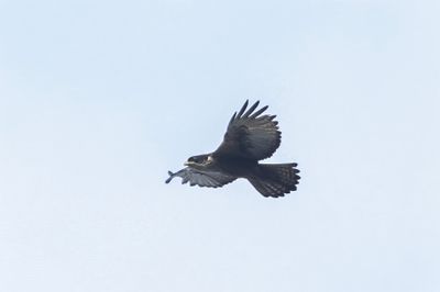 g13/09/1002909/3/174224502.5a70cbe4.JPEG