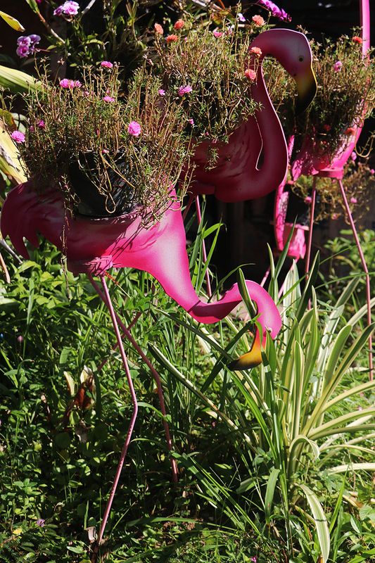 flamingo plant holders.jpg