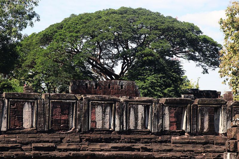 overlooking the ruins.jpg