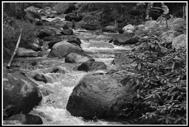 downstream.jpg
