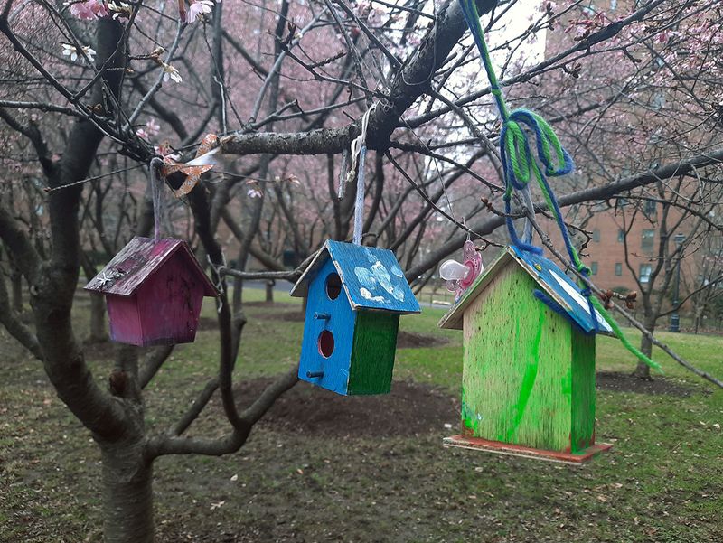 bird houses.jpg