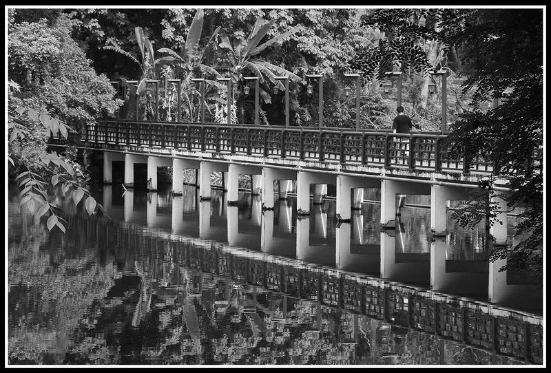 crossing the bridge.jpg