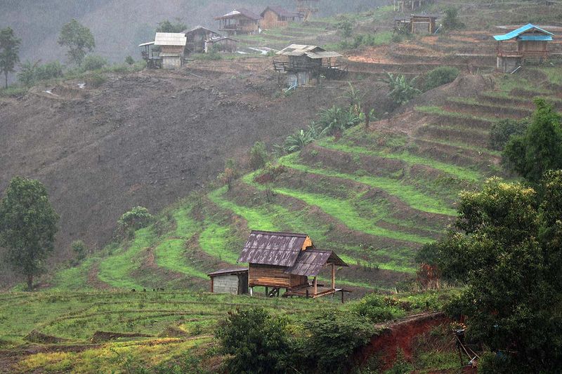 rainy terraces.jpg