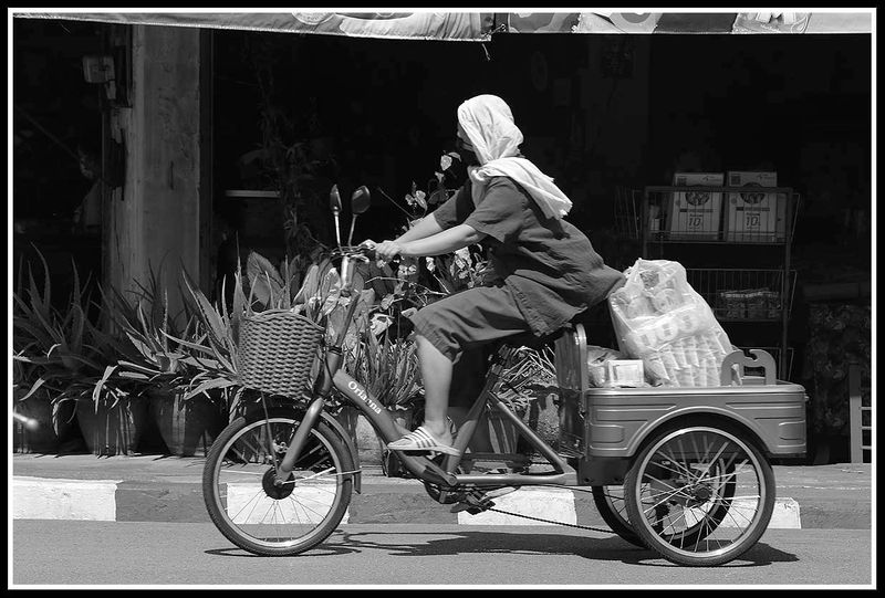 bike and cargo trailor.jpg