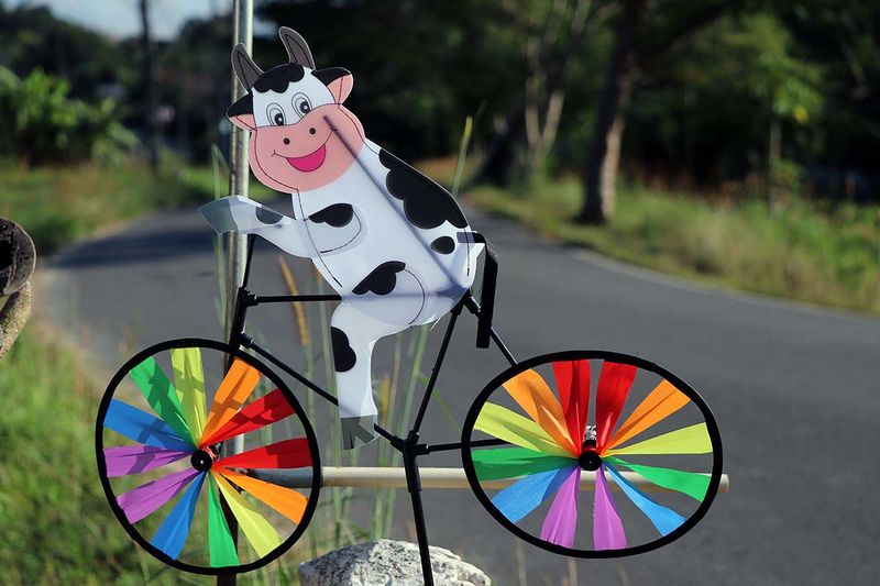 cow on wheels.jpg