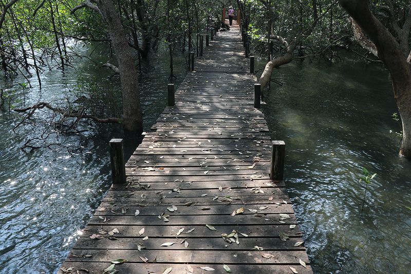 walkway.jpg